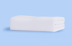 Sealy Mattress Protector