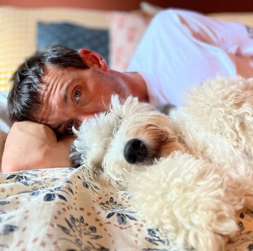 man and cute white dog laying on a Sealy bed